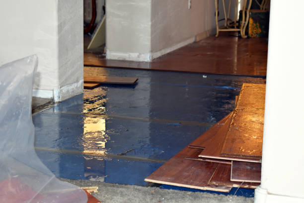Professional Flood Cleanup technician working in Waban, MA